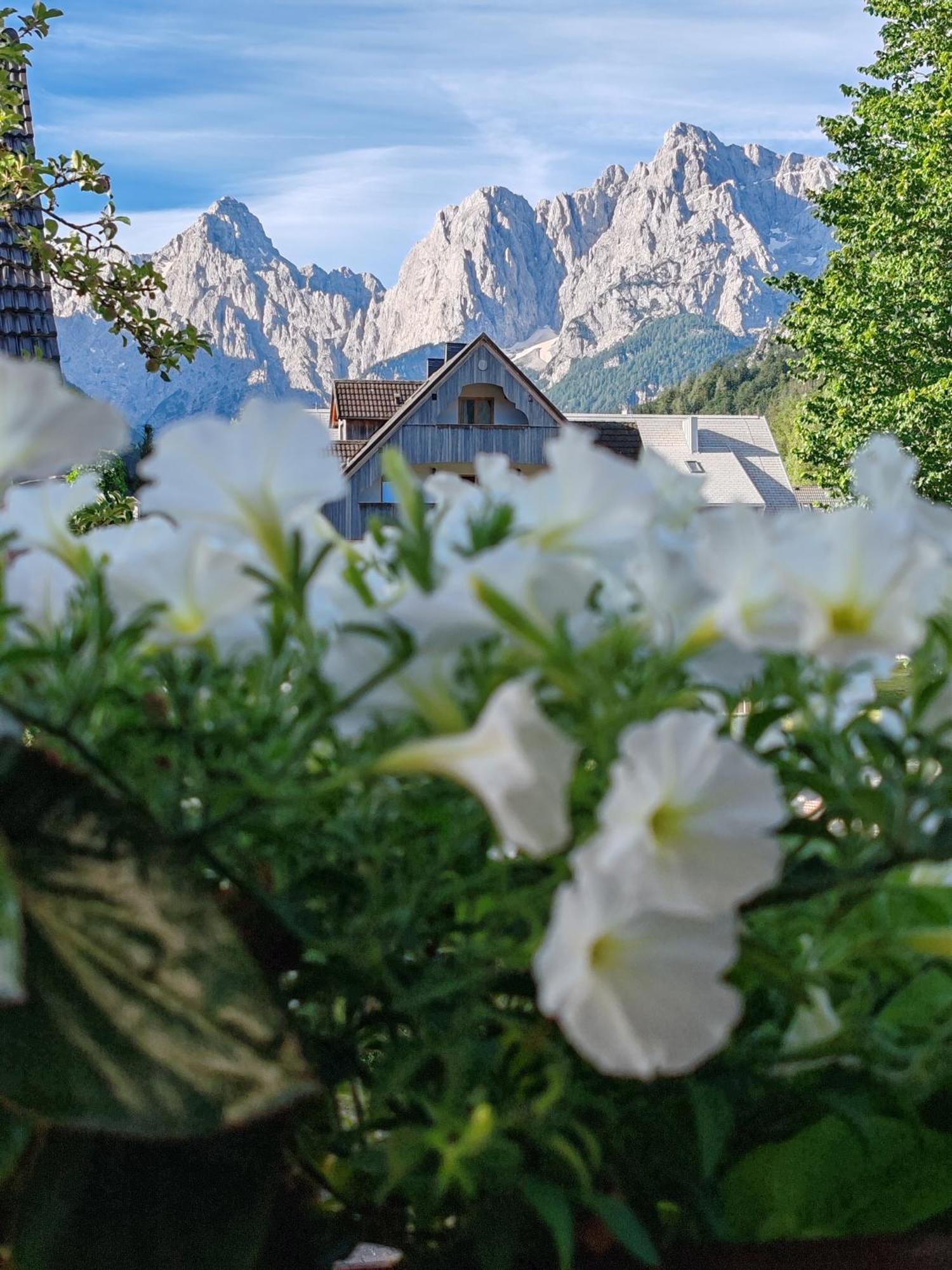 Apartments & Rooms Smucka Kranjska Gora Kültér fotó